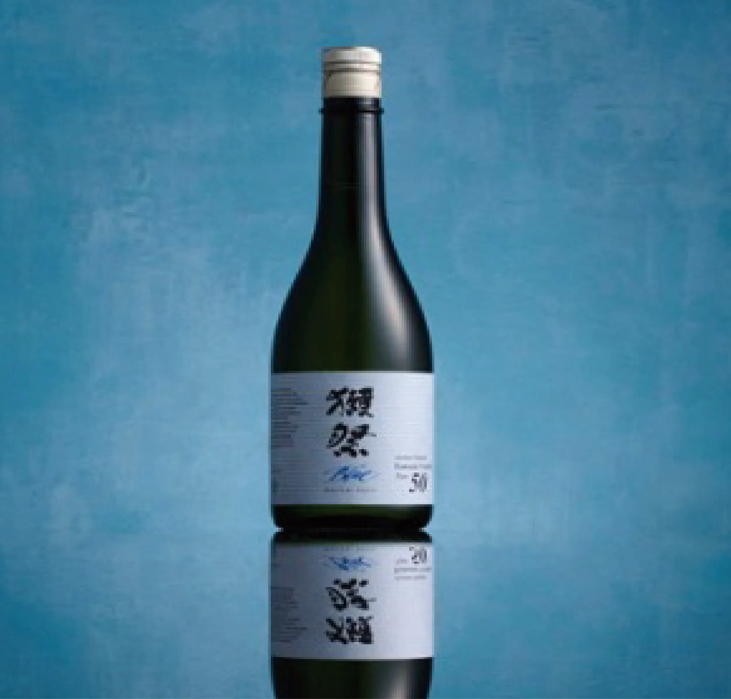 section blog photo 01